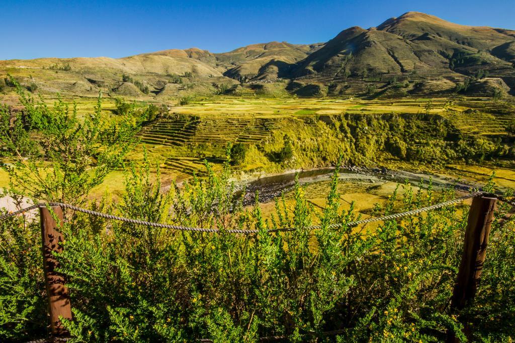 Eco Inn Colca Yanque Екстериор снимка