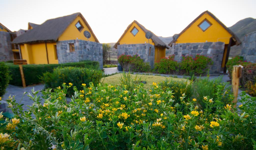 Eco Inn Colca Yanque Екстериор снимка