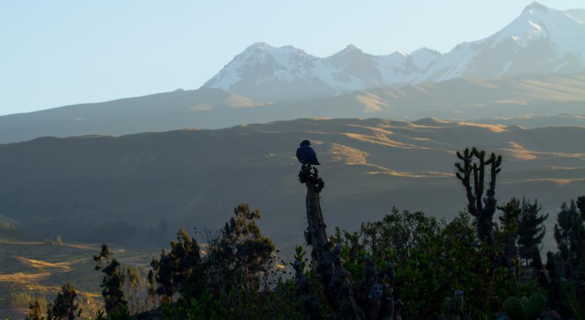 Eco Inn Colca Yanque Екстериор снимка