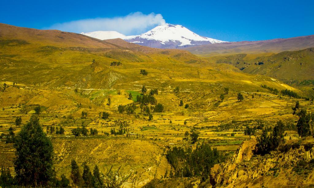 Eco Inn Colca Yanque Екстериор снимка