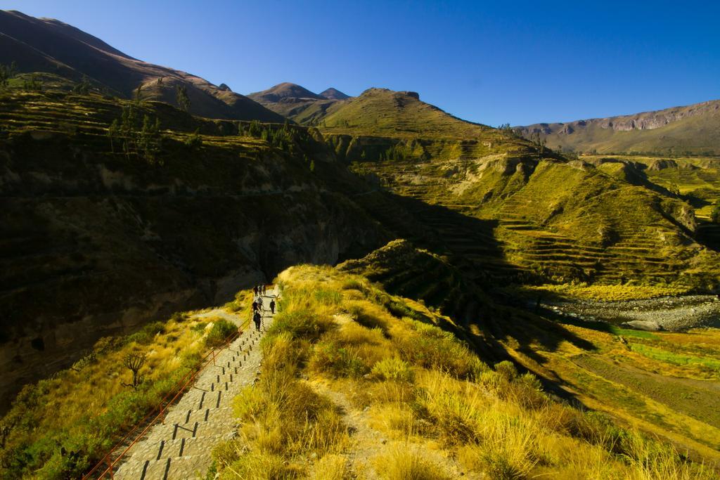 Eco Inn Colca Yanque Екстериор снимка