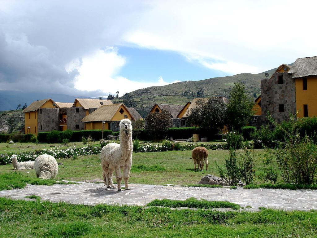 Eco Inn Colca Yanque Екстериор снимка